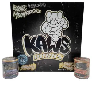 Kaws Rocks Exotic Edition