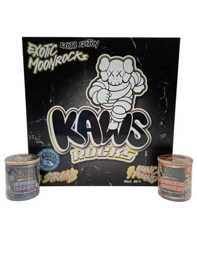 Kaws Rocks Exotic Edition