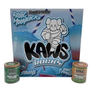 Kaws Rocks Moon Rock Slurpee Edition