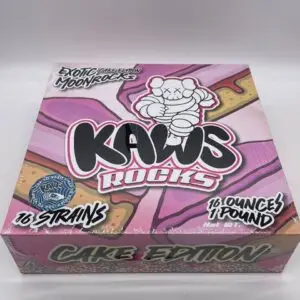 Kaws Rocks Cake Edition