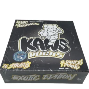Kaws Rocks Exotic Edition