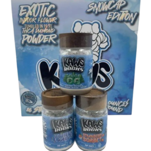 Kaws Rocks Snowcap Edition